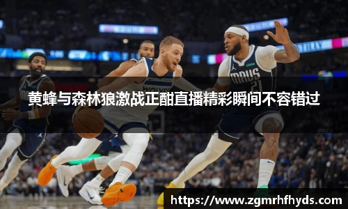 黄蜂与森林狼激战正酣直播精彩瞬间不容错过